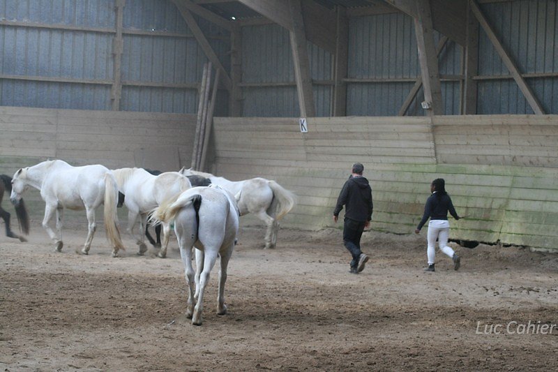 IMG-0056.jpg