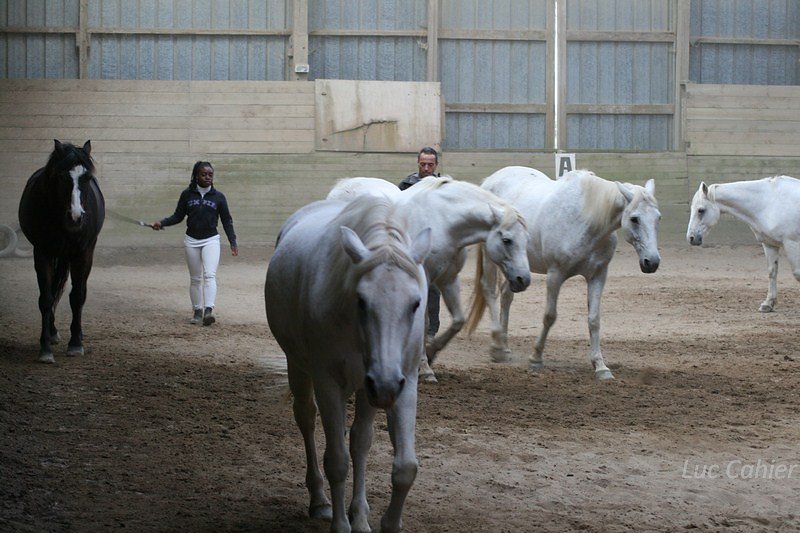 IMG-0058.jpg