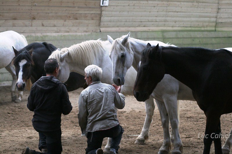 IMG-0067.jpg
