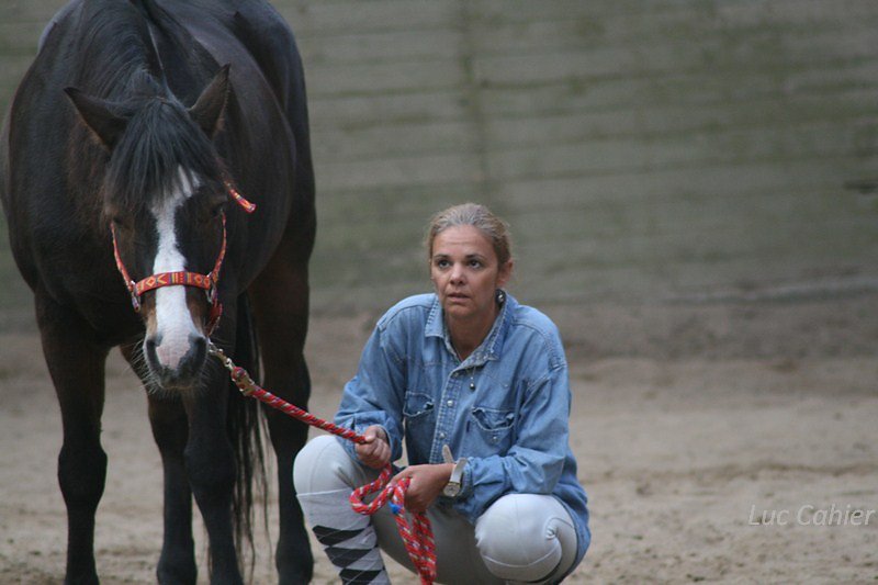 IMG-0074.jpg