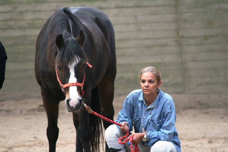IMG-0075.jpg