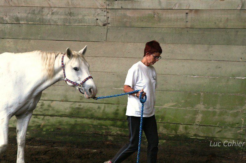 IMG-0077.jpg