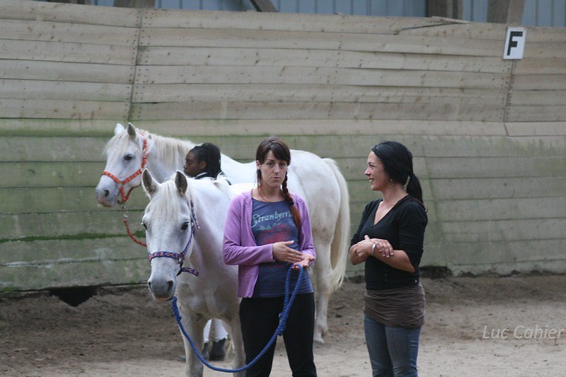 IMG-0078.jpg