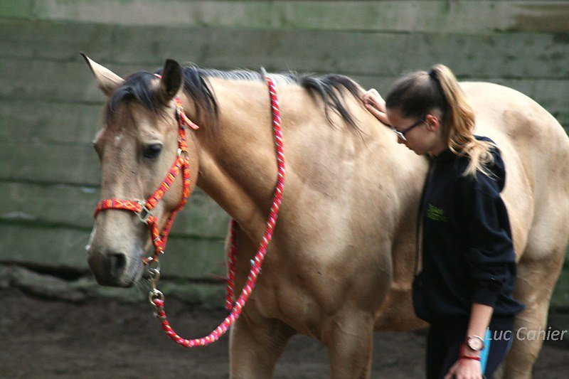 IMG-0084.jpg