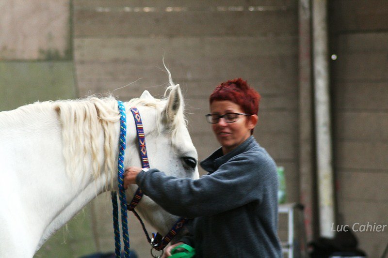 IMG-0085.jpg