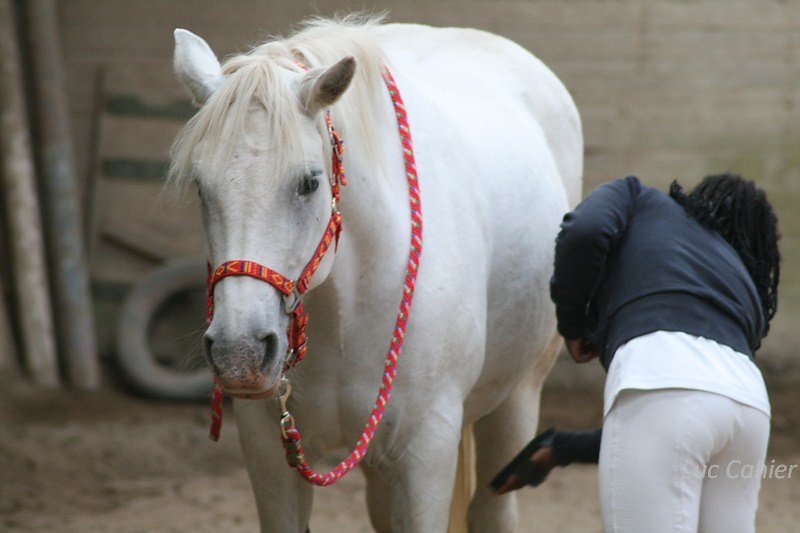 IMG-0087.jpg