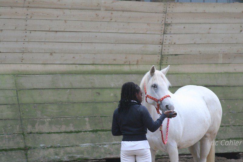 IMG-0102.jpg