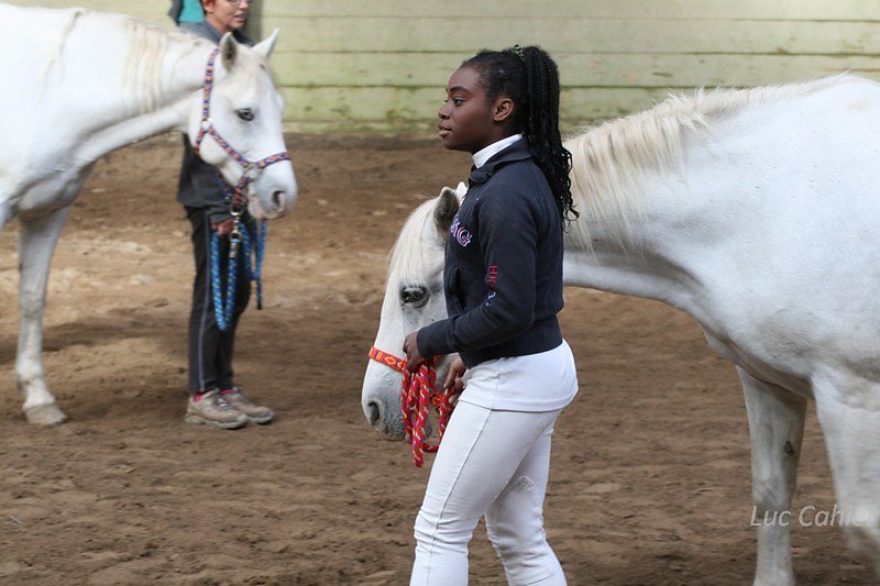 IMG-0186.jpg