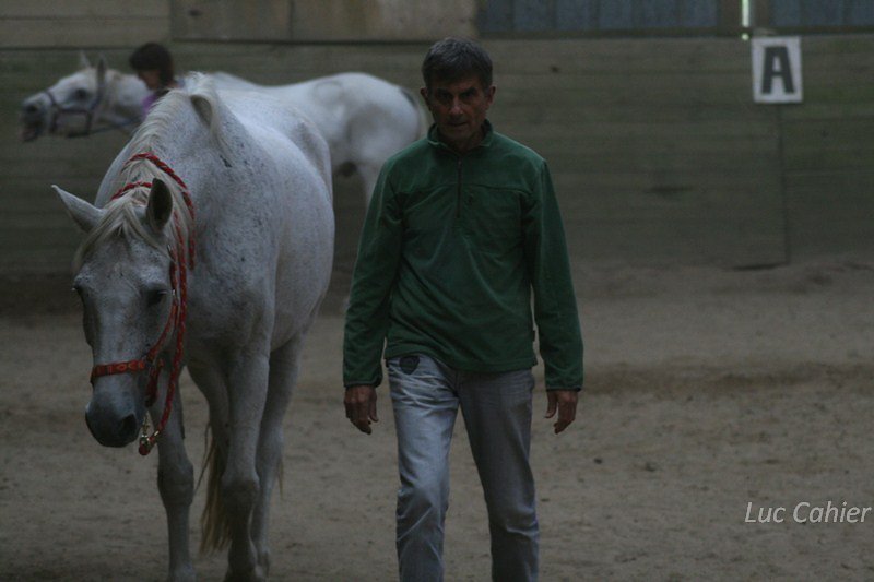 IMG-0202.jpg