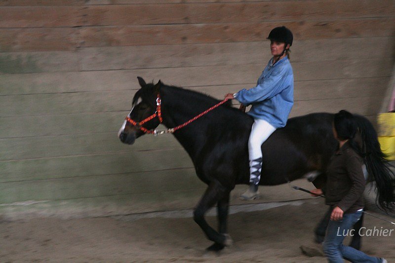 IMG-0248.jpg