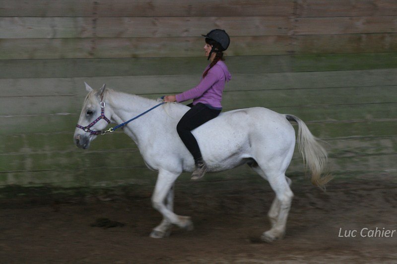 IMG-0250.jpg
