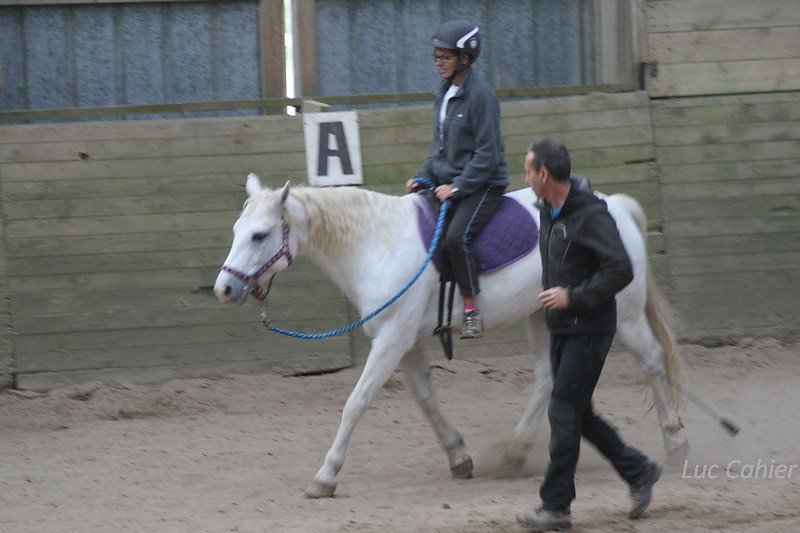 IMG-0253.jpg