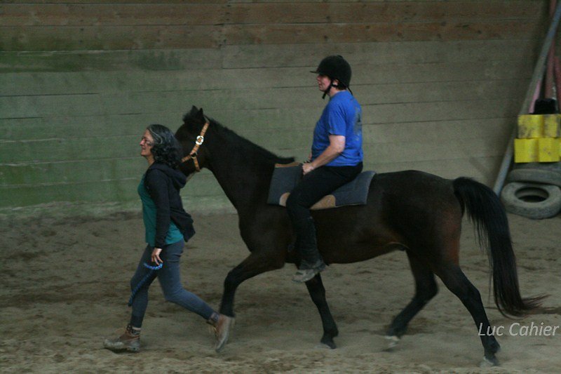 IMG-0254.jpg