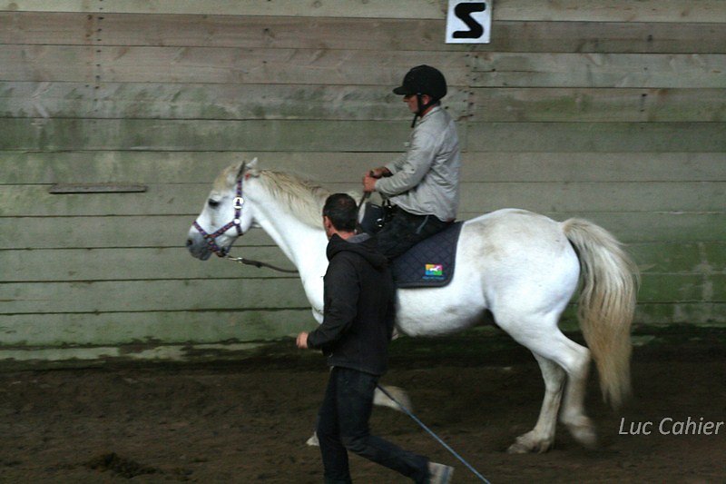 IMG-0258.jpg