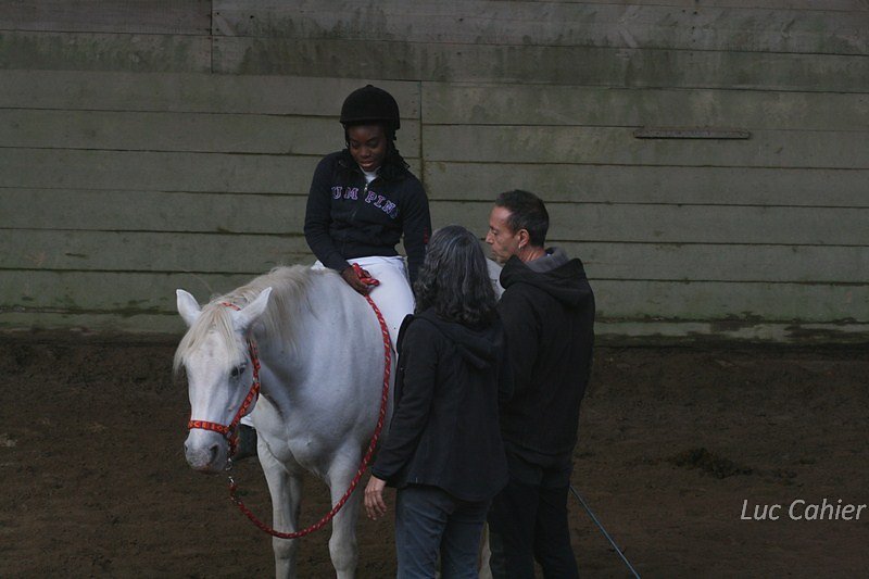 IMG-0260.jpg