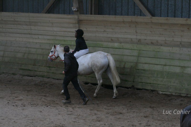 IMG-0262.jpg