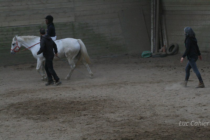 IMG-0263.jpg
