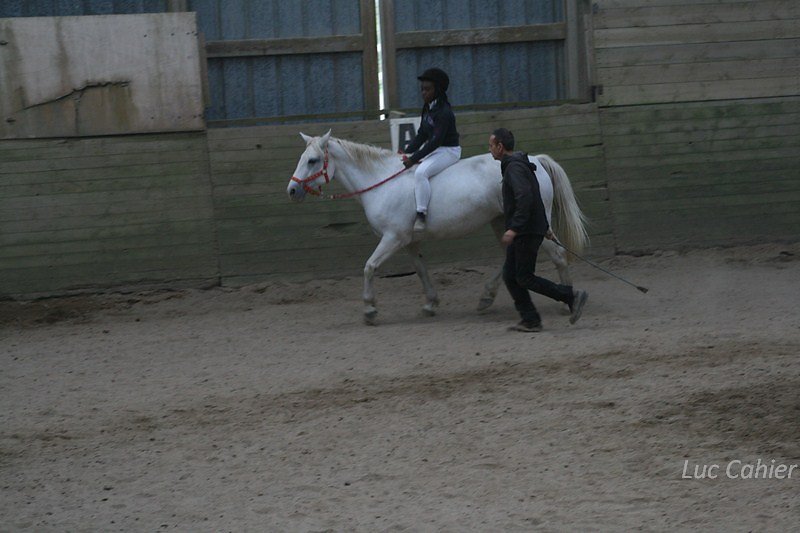 IMG-0264.jpg