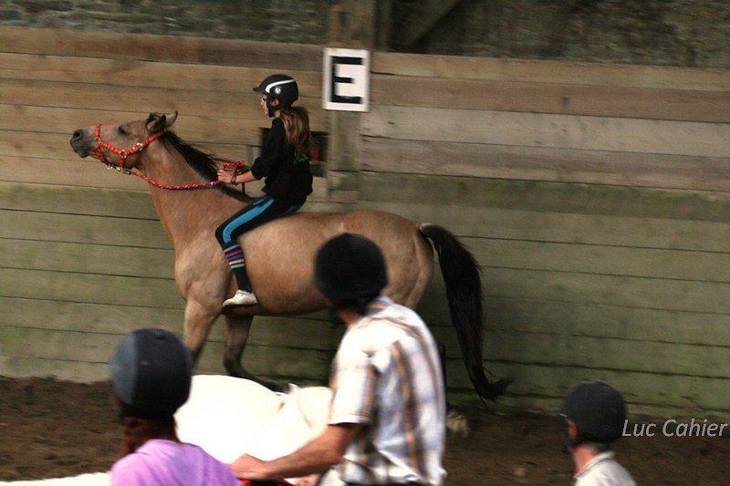 IMG-0266.jpg