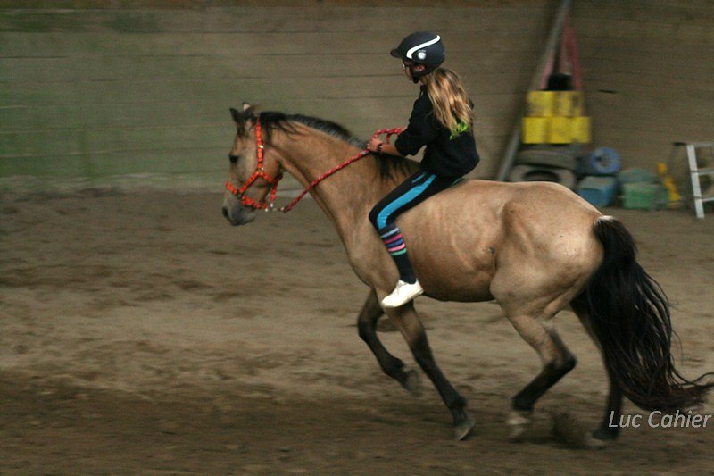 IMG-0268.jpg