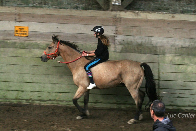 IMG-0269.jpg