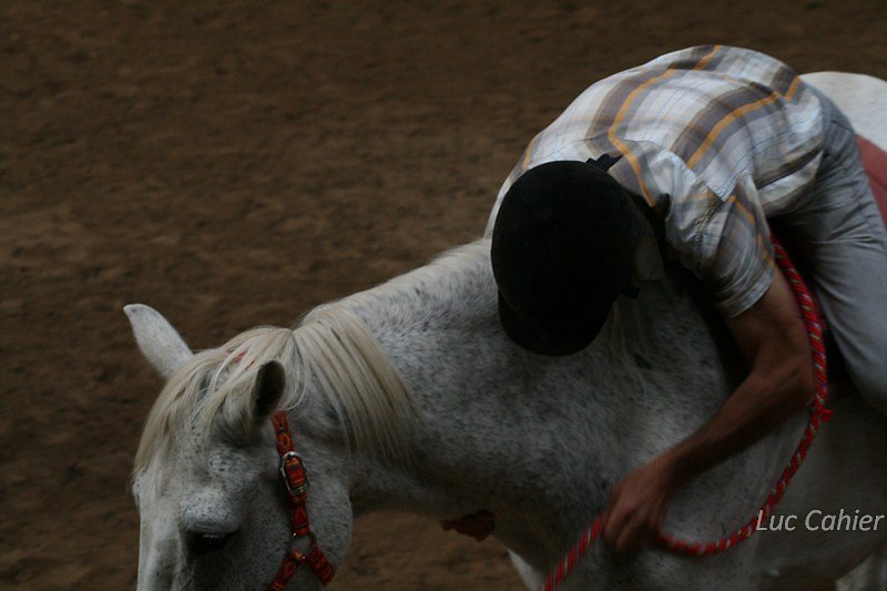 IMG-0275.jpg