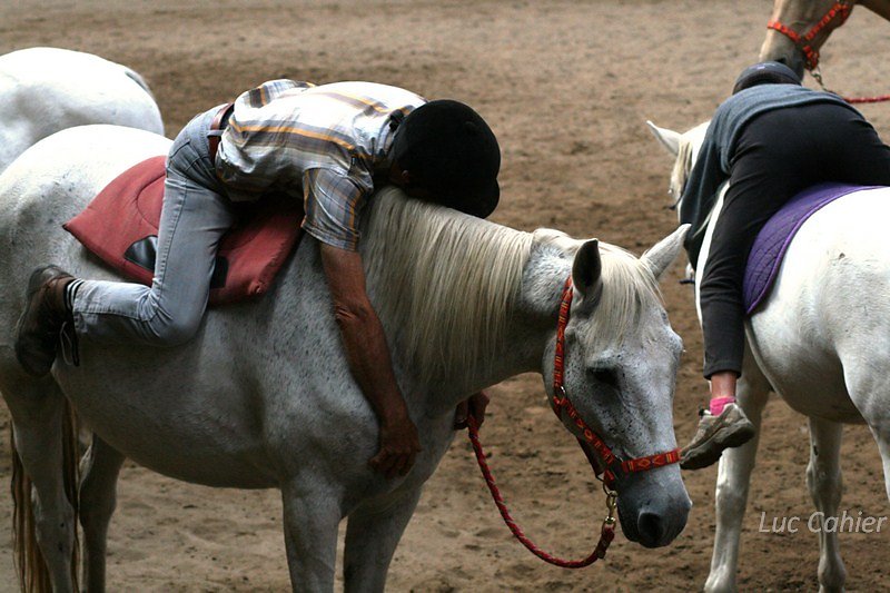 IMG-0283.jpg