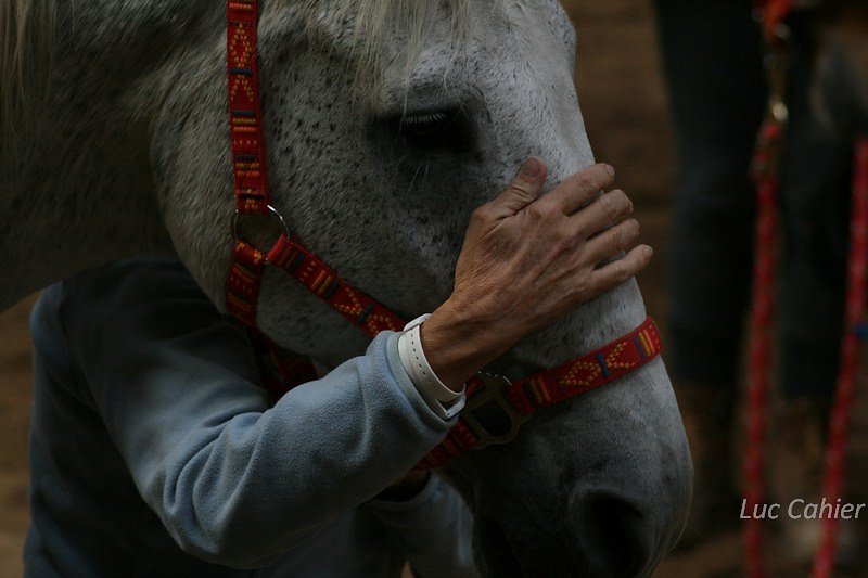 IMG-0285.jpg