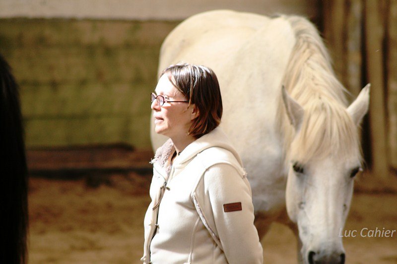 IMG-0005.jpg
