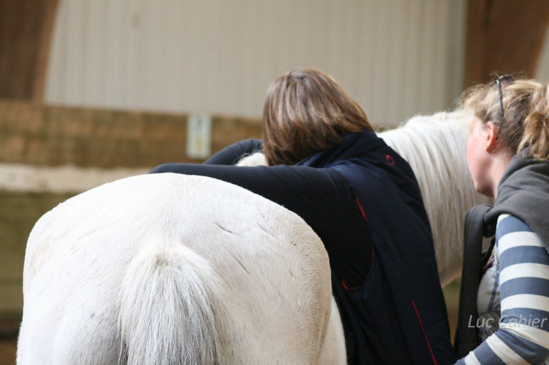 IMG-0018.jpg