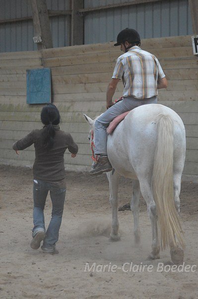 DSC-1252.JPG