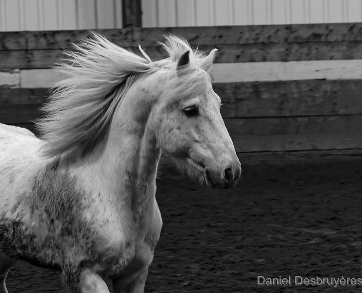 FR5A4677-DxO-Copier.jpg
