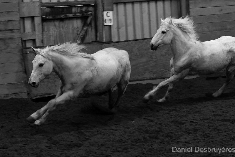 FR5A4708-DxO-Copier.jpg