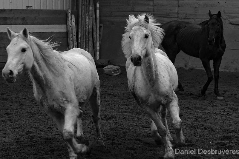 FR5A4753-DxO-Copier.jpg