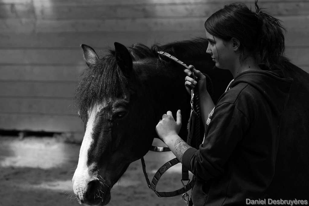 FR5A9536-DxO.jpg