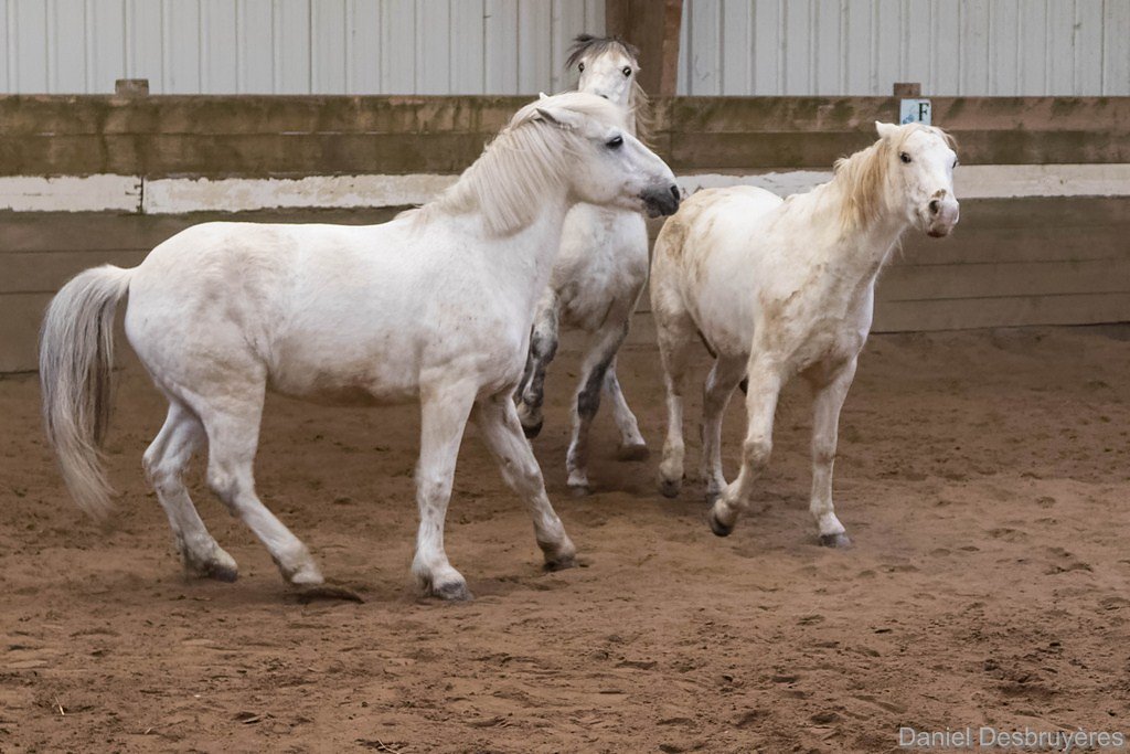 FR5A5457-DxO.jpg