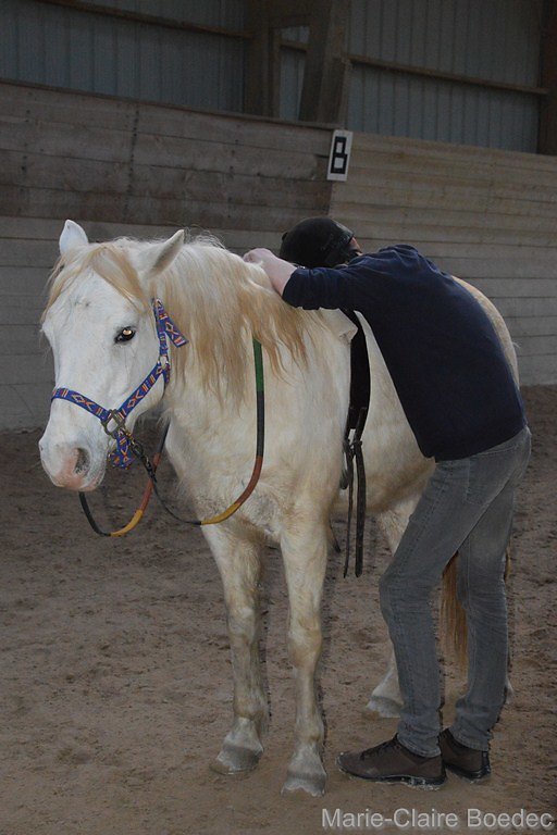 DSC-1406.JPG