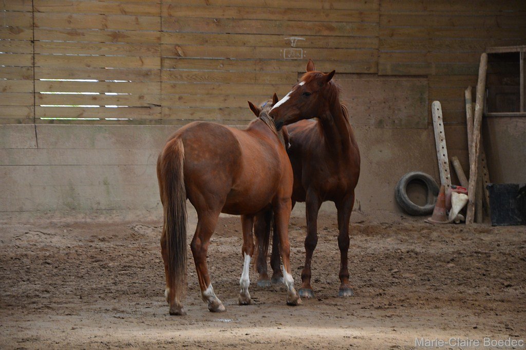 DSC-0120.JPG