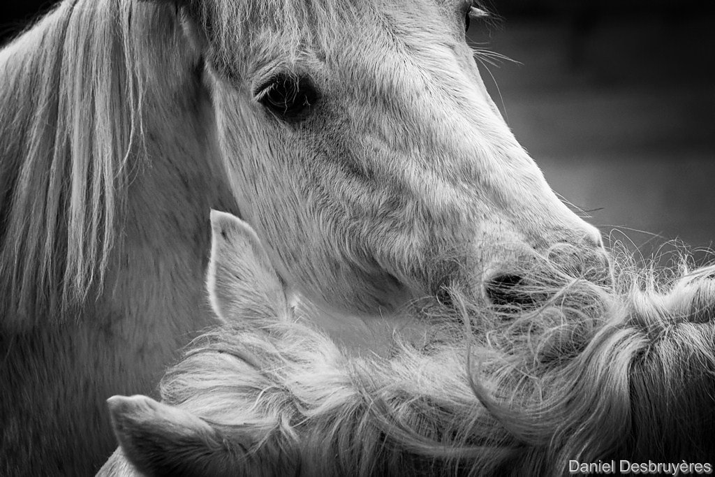 FR5A8058-DxO.jpg