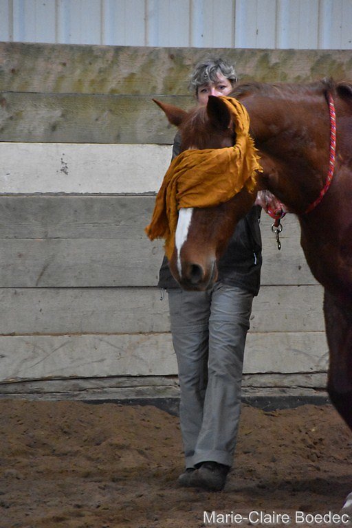 DSC-0431.JPG